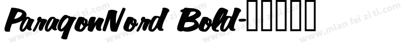 ParagonNord Bold字体转换